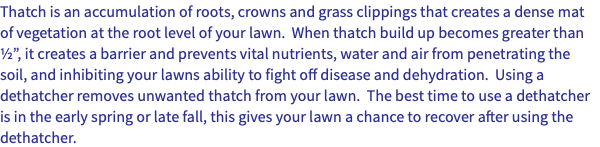 Thatch is an accumulation of roots, crowns and grass clippings that creates a dense mat of vegetation at the root level of your lawn. When thatch build up becomes greater than ½”, it creates a barrier and prevents vital nutrients, water and air from penetrating the soil, and inhibiting your lawns ability to fight off disease and dehydration. Using a dethatcher removes unwanted thatch from your lawn. The best time to use a dethatcher is in the early spring or late fall, this gives your lawn a chance to recover after using the dethatcher.